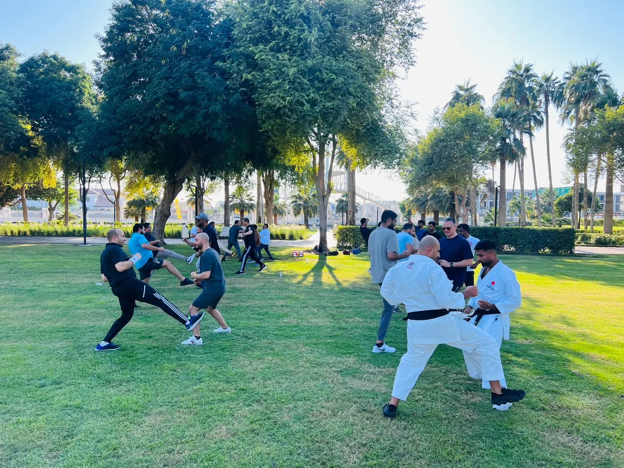 Pairs of students sparring on the grass during an outdoor karate seminar in a Dubai park
