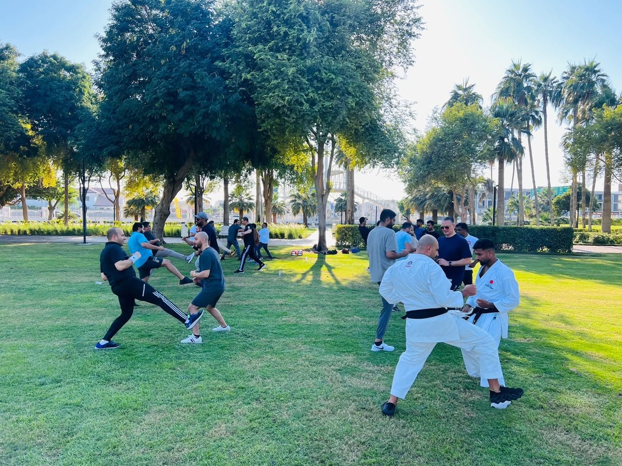 Pairs of students sparring on the grass during an outdoor karate seminar in a Dubai park