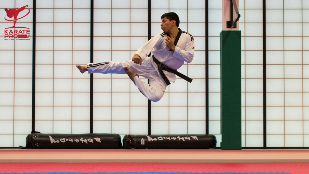 Karate Training in Dubai Building a Strong Foundation for Growth in 2024